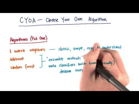 Algorithm Options