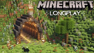 Minecraft Survival  Relaxing Longplay, Mountain Tunnel (No Commentary) 1.18 (#21)