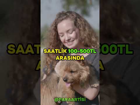 🐾 Evcil Dostlarını Gezdirirken Ek Gelir Kazan! 🚶‍♂️💕#evcilhayvan #ekiş