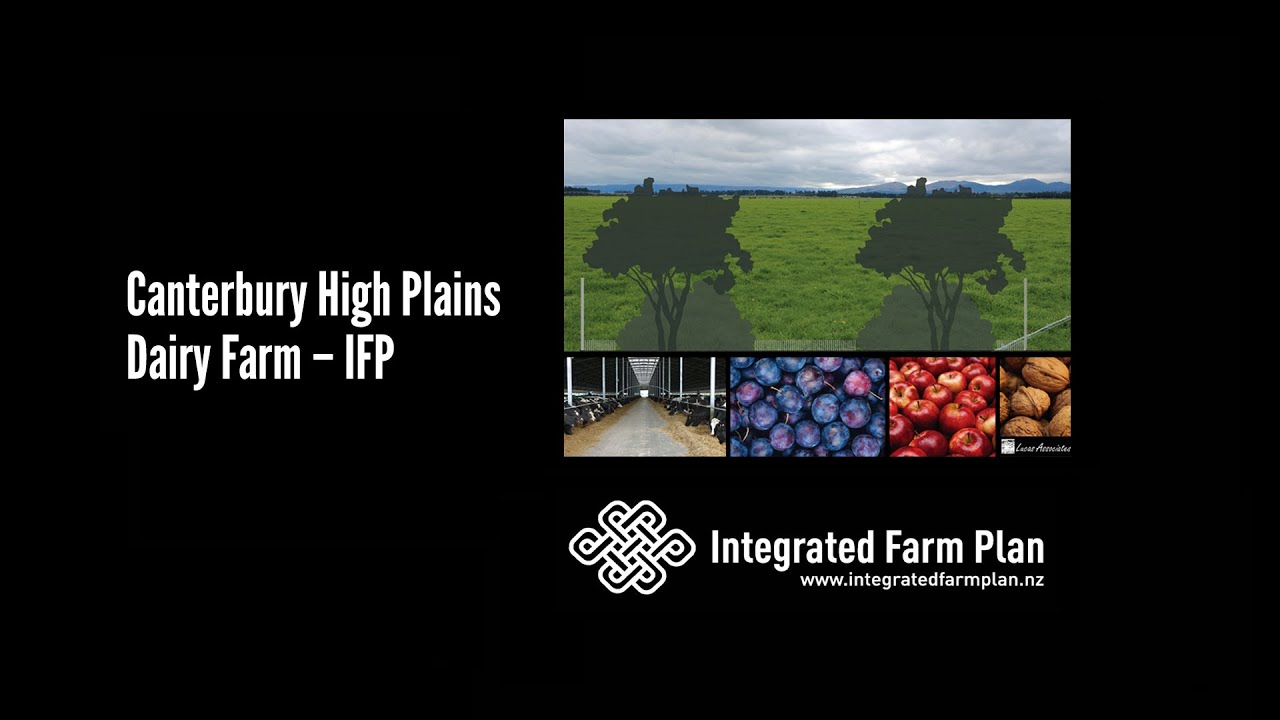 Canterbury High Plains Dairy Farm IFP YouTube