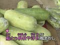 25 沖縄民謡 夫婦船 カラオケ