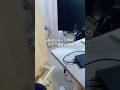 オタク系メキシコ人のルームツアー