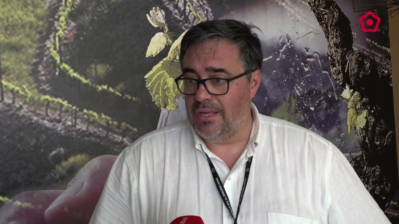 Projecte ambiciós de la bodega Terra Cellars de les Borges del Camp