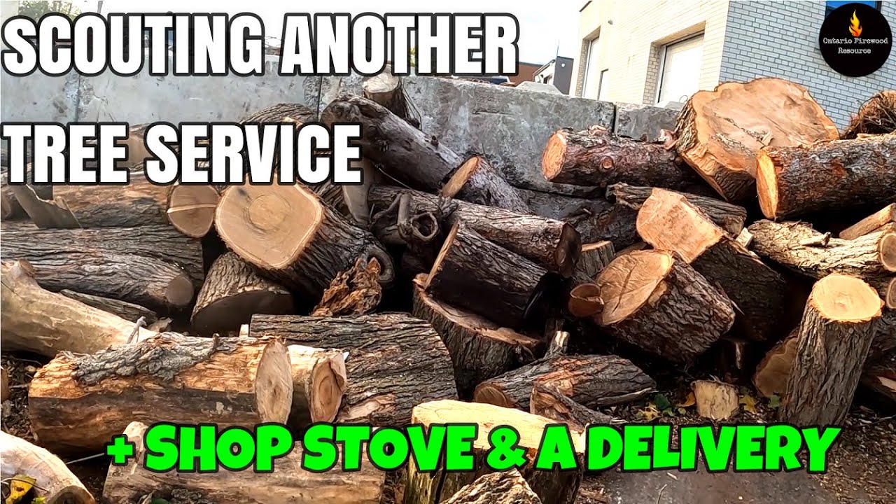 ИЩУ ЕЩЕ ОДНУ СЛУЖБУ ПО УХОДУ ЗА ДЕРЕВЬЯМИ В ПОИСКАХ! 