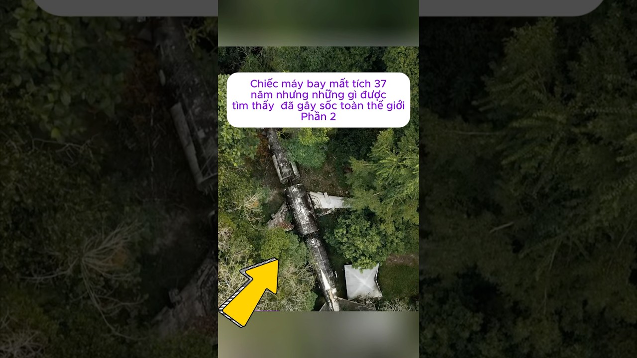 [P.2] Chiếc máy bay mất tích 37 năm nhưng những gì được tìm thấy  đã gây sốc toàn thế giới #shorts
