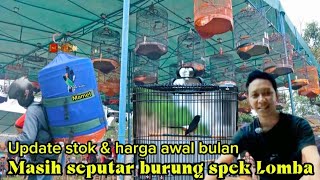 Update awal bulan dengan variasi harga dan spek burung lomba