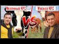 Сравнение пород КРС в деньгах. Молочная порода коров, Мясная порода коров. Какую породу КРС выбрать?