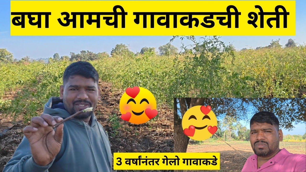 आमची गावाकडची शेती || 🥰😍 || Full Vlog Marathi || 