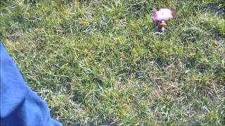 HobbyKing Skyfun dives to it's death at warp speed