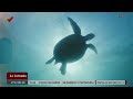 La Jornada | Protección y conservación animal en Venezuela