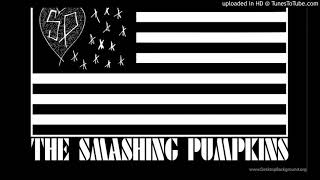 Smashing Pumpkins Gossamer ALL ACOUSTIC!