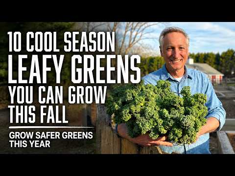 10 Leafy Greens to Grow This Fall for a Safer, Fresher Harvest