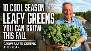 10 Leafy Greens to Grow This Fall for a Safer, Fresher Harvest