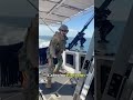 Ship vs Pirates#maritime #pirates #shipcrew #Knowledge