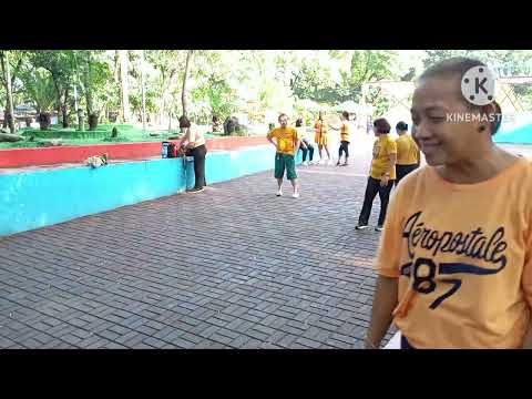Zumba dance workout morning routine azl family exercise burn the fats