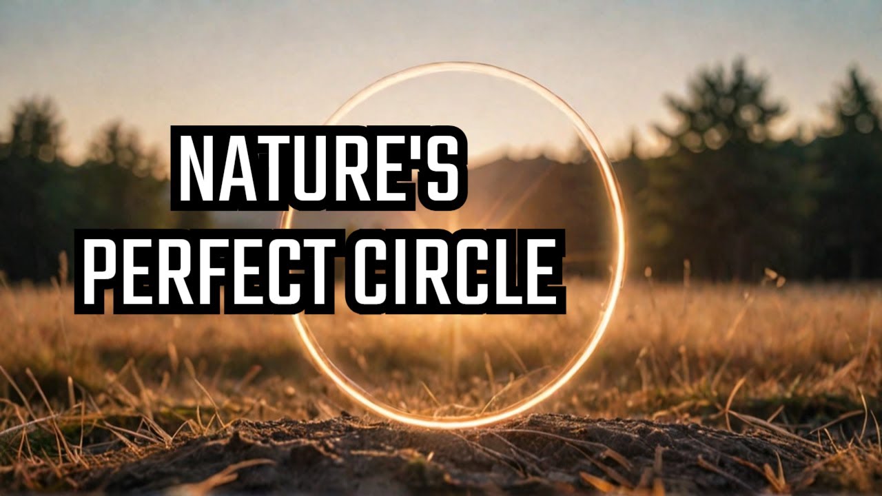 Why Circles Are The Most Perfect Shape in Nature