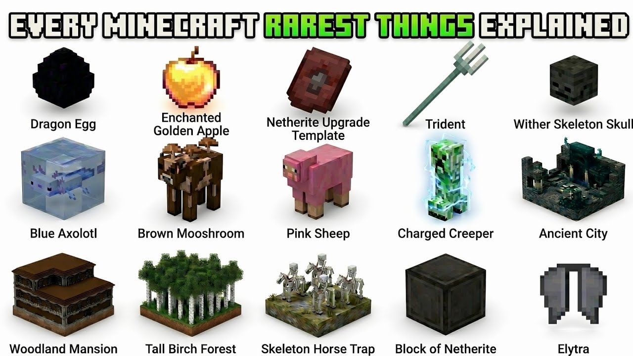 Every Minecraft Rarest Things Explained in 4 minutes - YouTube