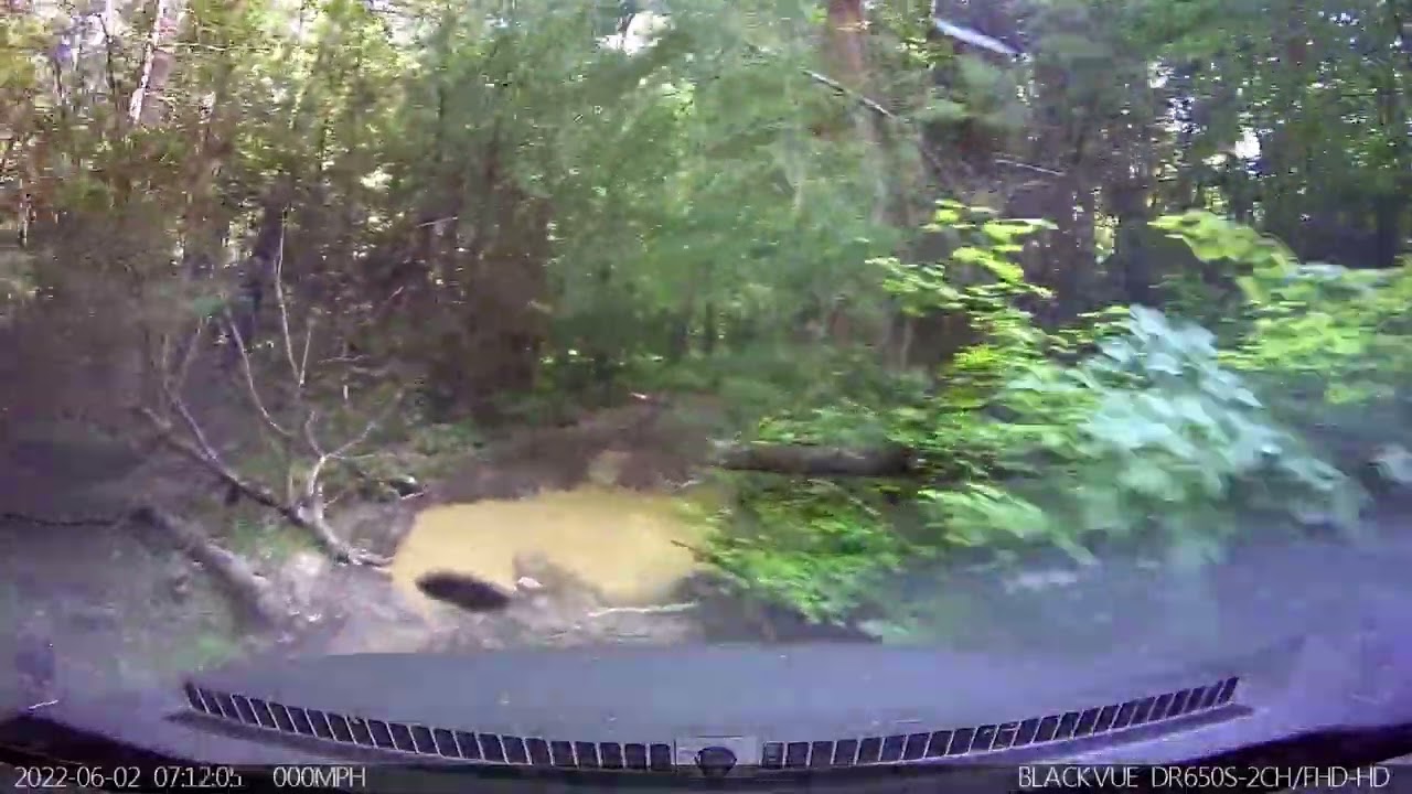 Exploring East Tennessee's Bumpus Cove - and earning a couple of badges!!