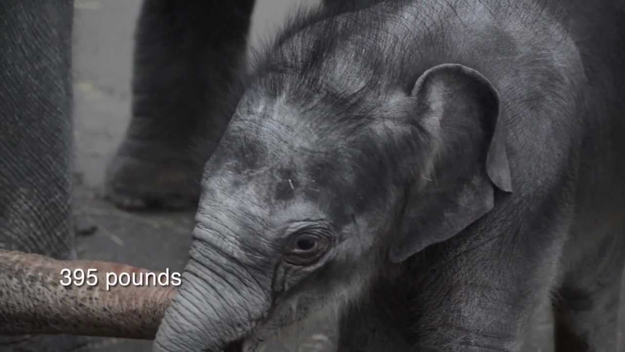 lily at three months