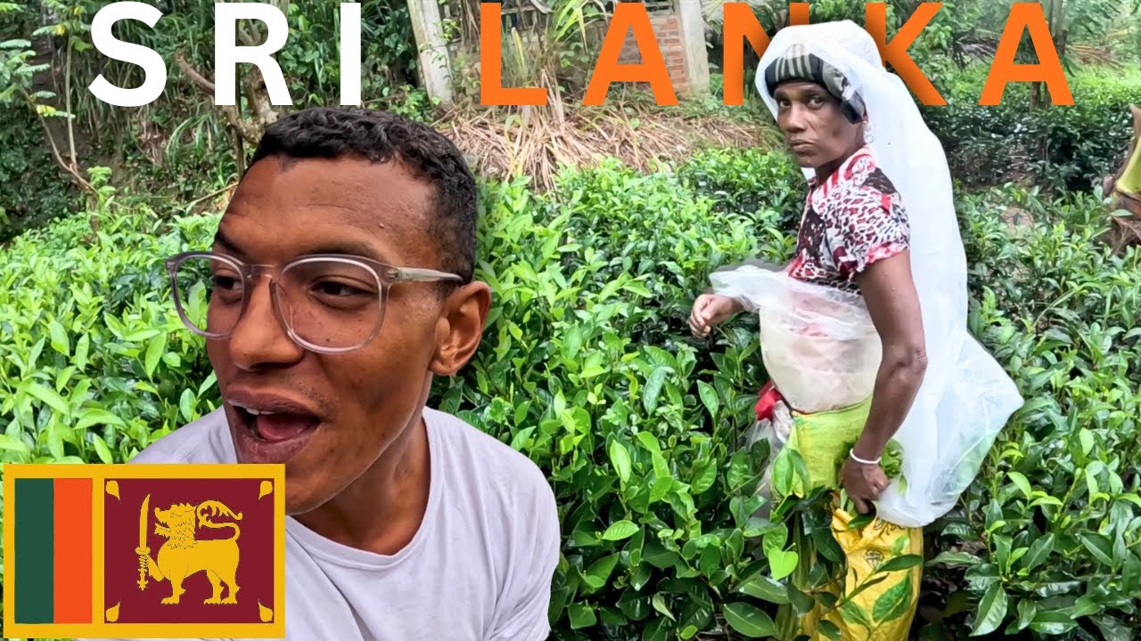 Жители Велигамы выкарабкались! Вот как они отнеслись ко мне в деревне на Шри-Ланке 🇱🇰