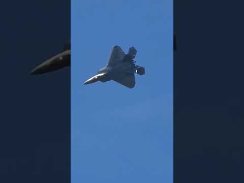 F-22 Raptor hammerhead