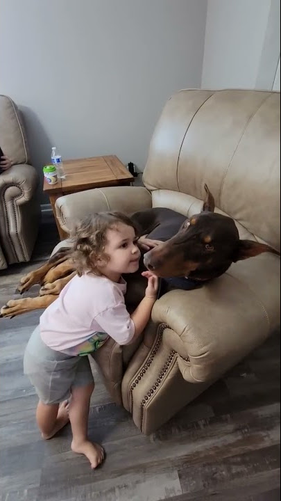 Are Doberman Pinschers good with kids? Absolutely!
