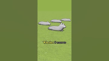 Screen recording of character 2.4 game animation - making a 3d in Buildbox - 2.4: Sal The Salamander