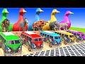 5 Giant Duck, Cow, Elephant, Ferdinand, Gorilla, Lion, Transfiguration funny animal