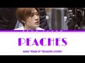 Bang yedam   peaches cover fixed audio  color coded lyrics 