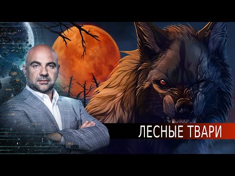 Лесные твари. «Как устроен мир" с Тимофеем Баженовым (19.08.20).
