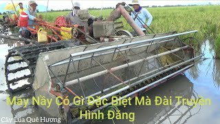 Nông Dân Tự Chế Chiếc Máy Thu Hoạch Lúa Chét Sài Được 3 Nông Cụ LH0985130259