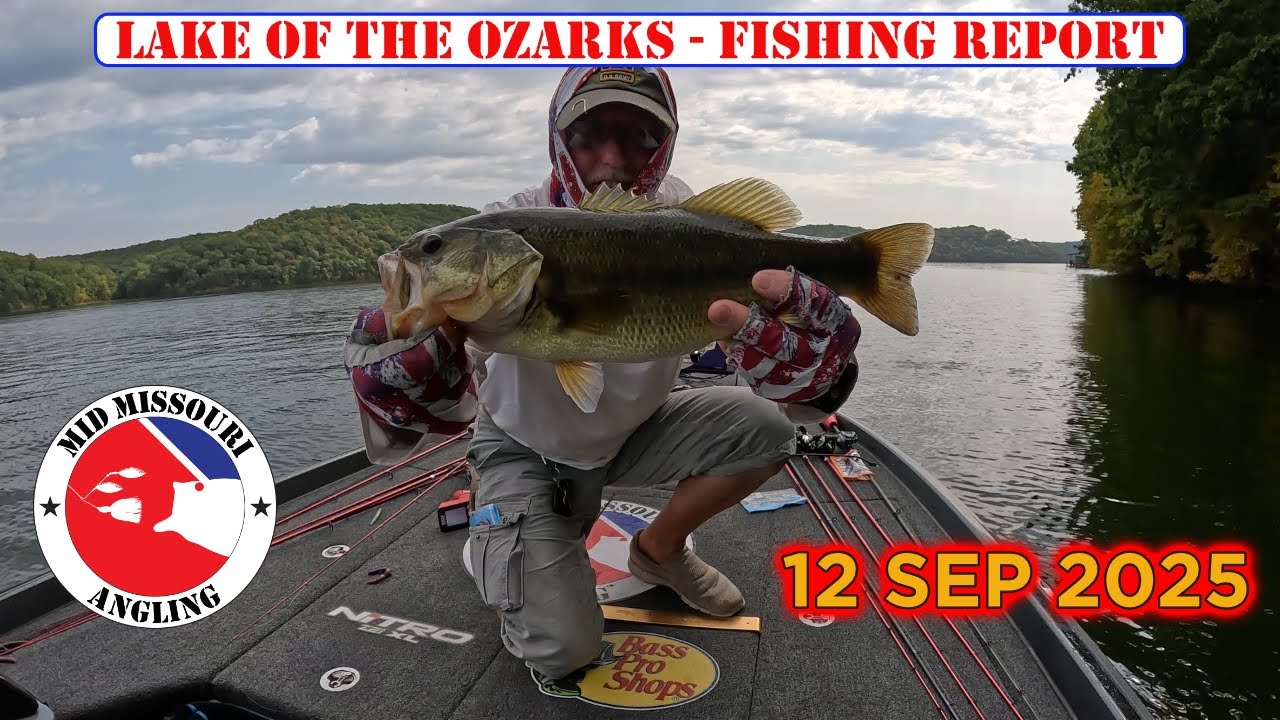Lake of the Ozarks Bass Fishing – 12 Sep 2025 | Fishing report