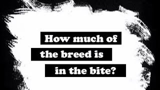 How Much Of The Breed Is In The Bite?