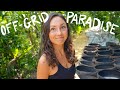 Building an OFF-GRID EARTHSHIP PARADISE in the jungle 🌺