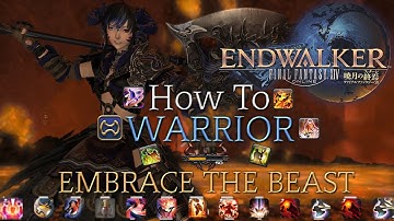 FFXIV Endwalker: Level 90 Warrior Guide Opener, Rotation, Stat Priority & Playstyle etc [Outdated]