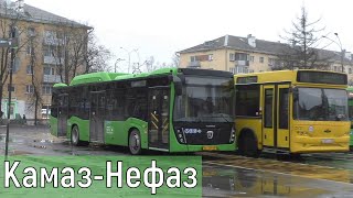 Новые автобусы НефАЗ-5299. Город Псков. Разнообразие автобусов