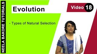 Evolution | NEET | Types of Natural Selection | Neela Bakore Tutorials
