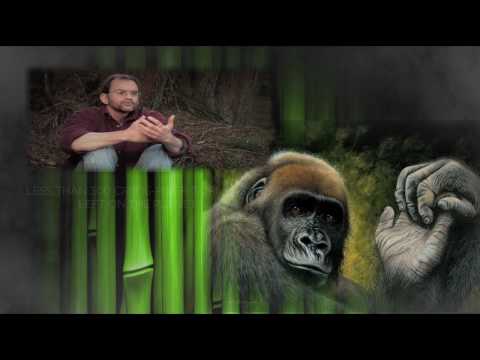 Gorilla Gala - Video Message by Daniel Taylor