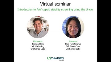 Introduction to AAV capsid stability screening using the Uncle