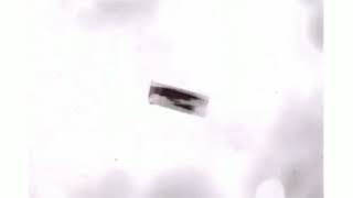 Warner Music Vision Logo 1991-2008 In G Major