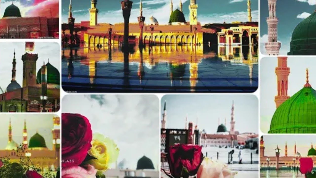 Top 20 Madina beautiful✨ picture 🖼️ with rose 🌹(( islamic dpz 2025 )) 