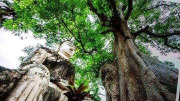 Những Câu Hỏi về Thiền Tông ,Quyển 04.Thầy Nguyễn Nhân.