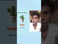 What is this called? #funny #shortvideo #reels #english #video #viral #shortsfeed #shorts #fun #new