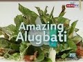 GoodNews: Amazing Alugbati!