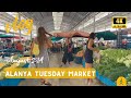Alanya Tuesday Market | Bazaar  Walking Tour | August 2024