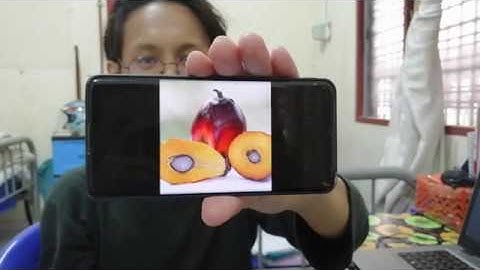 ASK 1: Autonomous Oil Palm Fruit Collector