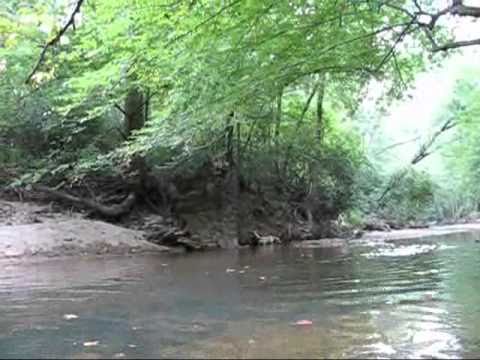 Addie The Fishing Dog IA Peaceful Day in The Woods