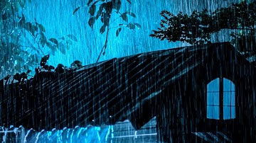 Goodbye Insomnia with Heavy rain & Thunder Growls on a Stale Tin Roof in Foggy Murky Forest at Night