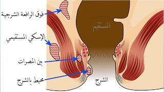 كيف تعرف ان الفتاة تمارس الجنس الشرجي الخلفي