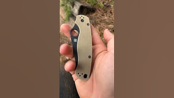 Why the Spyderco Paramilitary 2 is the BEST EDC Knife. You Need One #edc #pocketknife #knife